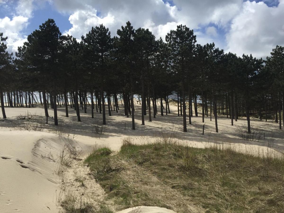 Romantic Holiday Home In Schoorl Near The Sea Exteriör bild