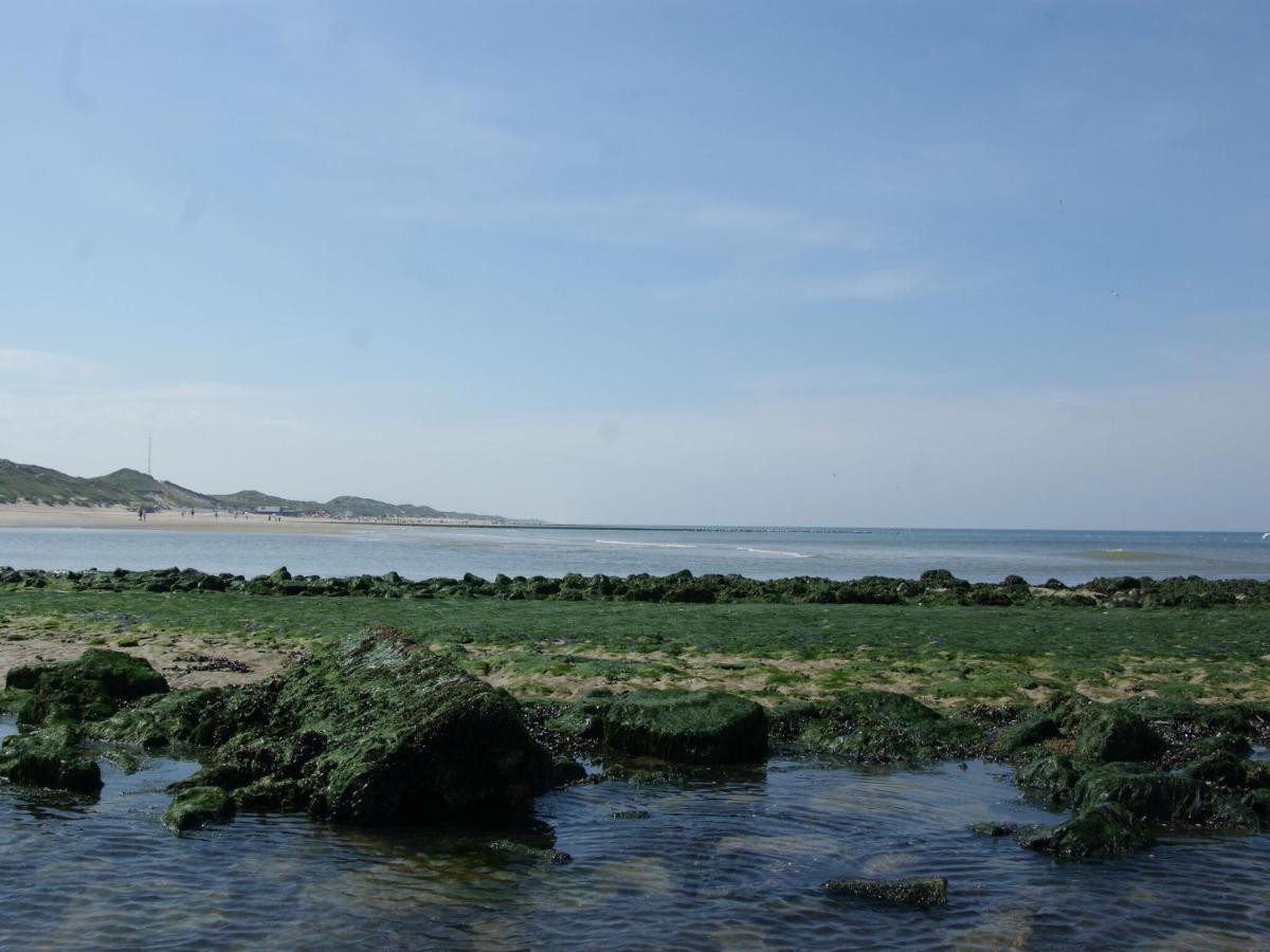 Romantic Holiday Home In Schoorl Near The Sea Exteriör bild